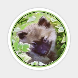 Keeshond Puppy (Brutus) Magnet